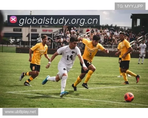 ✅体育直播🏆世界杯直播🏀NBA直播⚽- “习武强国”大型公益武术展示活动全国首站在长沙开幕- sports